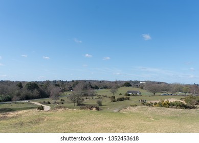 Lyndhurst Park Walks
