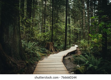 Lynn Valley Park North Vancouver Canada