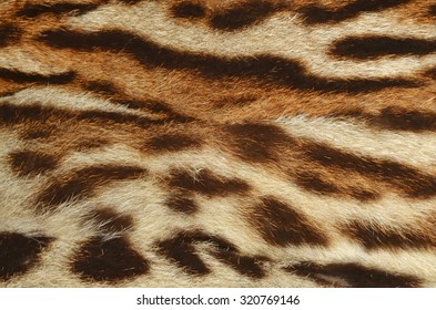 Lynx Fur Background