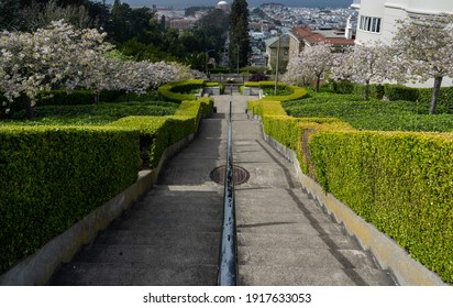 Lyon Street Steps In San Francisco