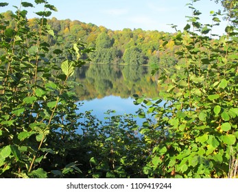 Maar Lake In The Vulkaneifel, Germany