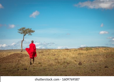 Maasai tribe man wearing traditional red shuka walking away in an open Kenya Africa field with one acacia tree and open blue sky - Powered by Shutterstock