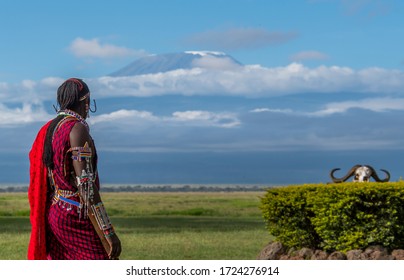 Maasai Warrior Looking At Kilimanjaro