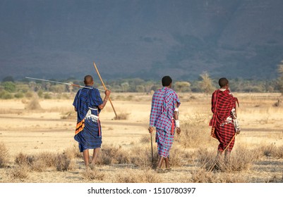 Maasai Warriors Walking In Savannah