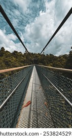 Mac Ritchie Tree Top Walk Singapore