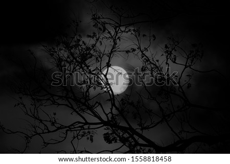 A macabre digitally manipulated photograph of the moon shining through the silhouette of an old tree.