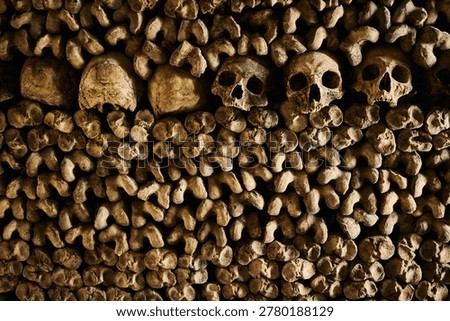 Macabre Wall of Human Skulls and Bones in the Paris Catacombs                              