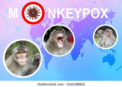 Macaca Fuscata Macaque Monkey Scientific Research Stock Photo