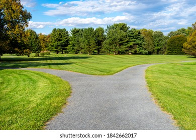 A Macadam Walking Path Splits Into Two Directions In A Park