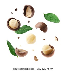 Macadamia nuts and crushed shells in air on white background