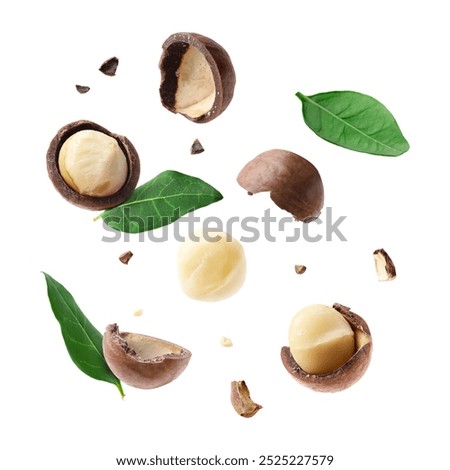 Macadamia nuts and crushed shells in air on white background