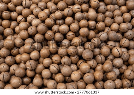 Macadamia nuts displaying their distinct hard shells and a pre-cut line