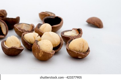 macadamia nuts fruits with shell on white background