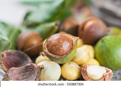 Macadamia nuts harvest close up