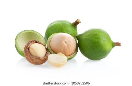 Macadamia Nuts Isolated On White Background.