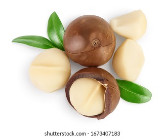 macadamia nuts isolated on white background with clipping path and full depth of field. Top view. Flat lay.