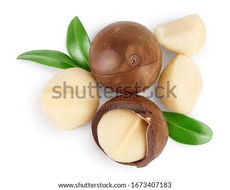macadamia nuts isolated on white background with clipping path and full depth of field. Top view. Flat lay.