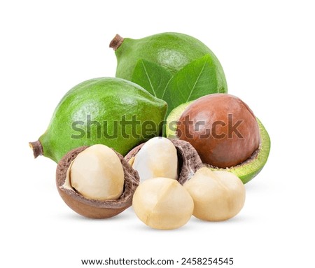 macadamia nuts with leaf isolated on white background
