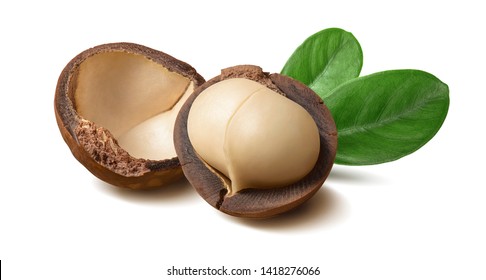 Macadamia nuts and leaves isolated on white background. Package design element with clipping path
