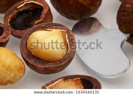 Macadamia nuts with sawn nutshell and a metal key to open the nut. Close up.