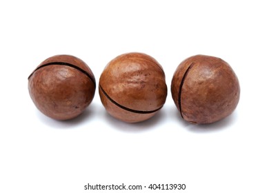 Macadamia Nuts In Shell Isolated On White Background. Macadamia Is The Most Expensive Nut In The World