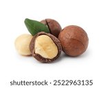 Macadamia nuts with shells isolated on white