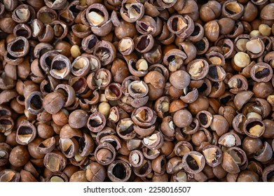 macadamia nuts texture background, fresh natural shelled raw macadamia nuts in a full frame, close up pile of roasted macadamia nut - top view