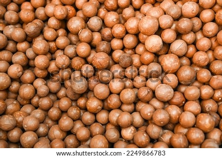 macadamia nuts texture background, fresh natural shelled raw macadamia nuts in a full frame, close up pile of roasted macadamia nut - top view