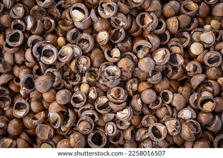 macadamia nuts texture background, fresh natural shelled raw macadamia nuts in a full frame, close up pile of roasted macadamia nut - top view