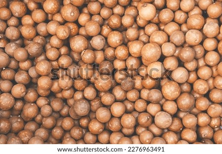 macadamia nuts texture background, fresh natural shelled raw macadamia nuts in a full frame, close up pile of roasted macadamia nut - top view