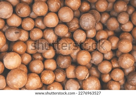 macadamia nuts texture background, fresh natural shelled raw macadamia nuts in a full frame, close up pile of roasted macadamia nut - top view