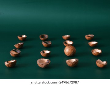 Macadamia shells in rows against a dark green background