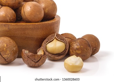 Macadamia will look like nuts. But it is not a legume Because it is not in the Fabaceae family, but despite being a nut tree that has a very high nutritional value