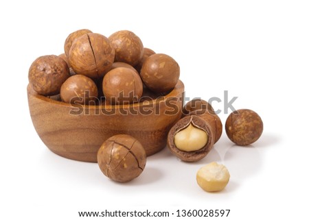 Macadamia will look like nuts. But it is not a legume Because it is not in the Fabaceae family, but despite being a nut tree that has a very high nutritional value