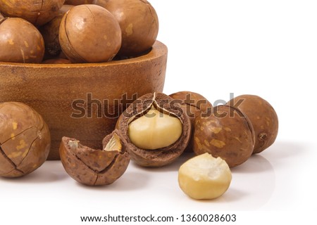 Macadamia will look like nuts. But it is not a legume Because it is not in the Fabaceae family, but despite being a nut tree that has a very high nutritional value