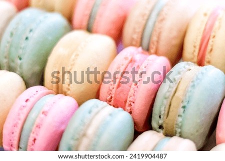 Macarons in Easter and Spring Colours