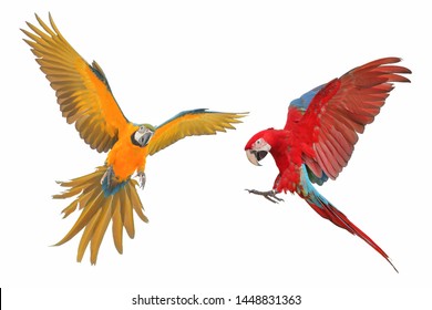 Macaw Parrot Flying Isolated On White Background.