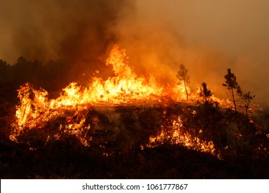 Maceda, Galicia / Spain - Oct 16 2017: Forest fire.