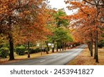 Macedon, Victoria, Australia: Autumn (Fall) colors in Macedon