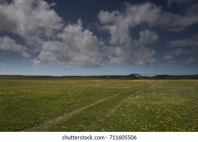 Machair, Berneray Outer Hebrides