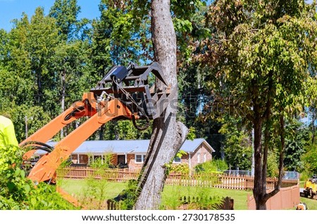 Machine is cuts down tree from ground in yard, with house trees in background