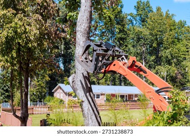 Machine is cutting down tree in yard as nearby houses are visible in background. - Powered by Shutterstock - Get 15% off with code: PIKWIZARD15