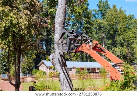 Machine is cutting down tree in yard as nearby houses are visible in background.