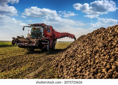 Machine for loading and harvesting sugar beet on field near pile of sugar beet, cloudy blue sky - Powered by Shutterstock