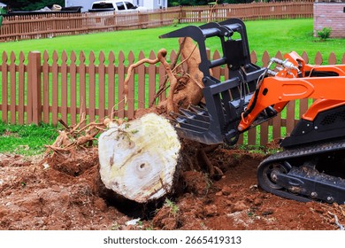 Machine operates to remove large tree stump from backyard surrounded by wooden fence.