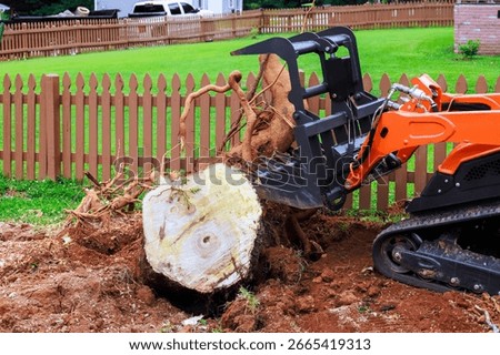 Machine operates to remove large tree stump from backyard surrounded by wooden fence.