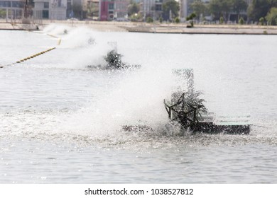Machine refresh the water 
