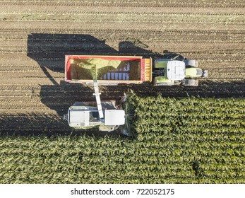 Machines Harvesting Corn In The Field. Aerial Drone Shot.