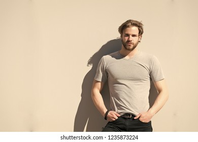 Macho With Beard And Blond Hair On Sunny Day. Man In Tshirt Pose On Grey Wall. Grooming, Male Beauty. Fashion, Style Concept. Barber Salon, Barbershop, Copy Space