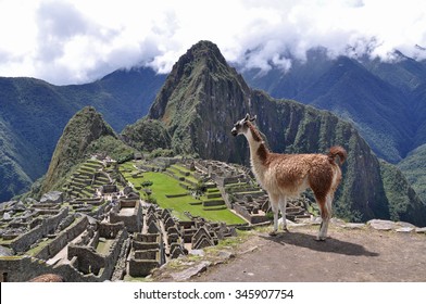 Machu Picchu